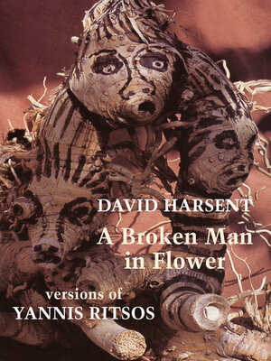 cover image of A Broken Man in Flower